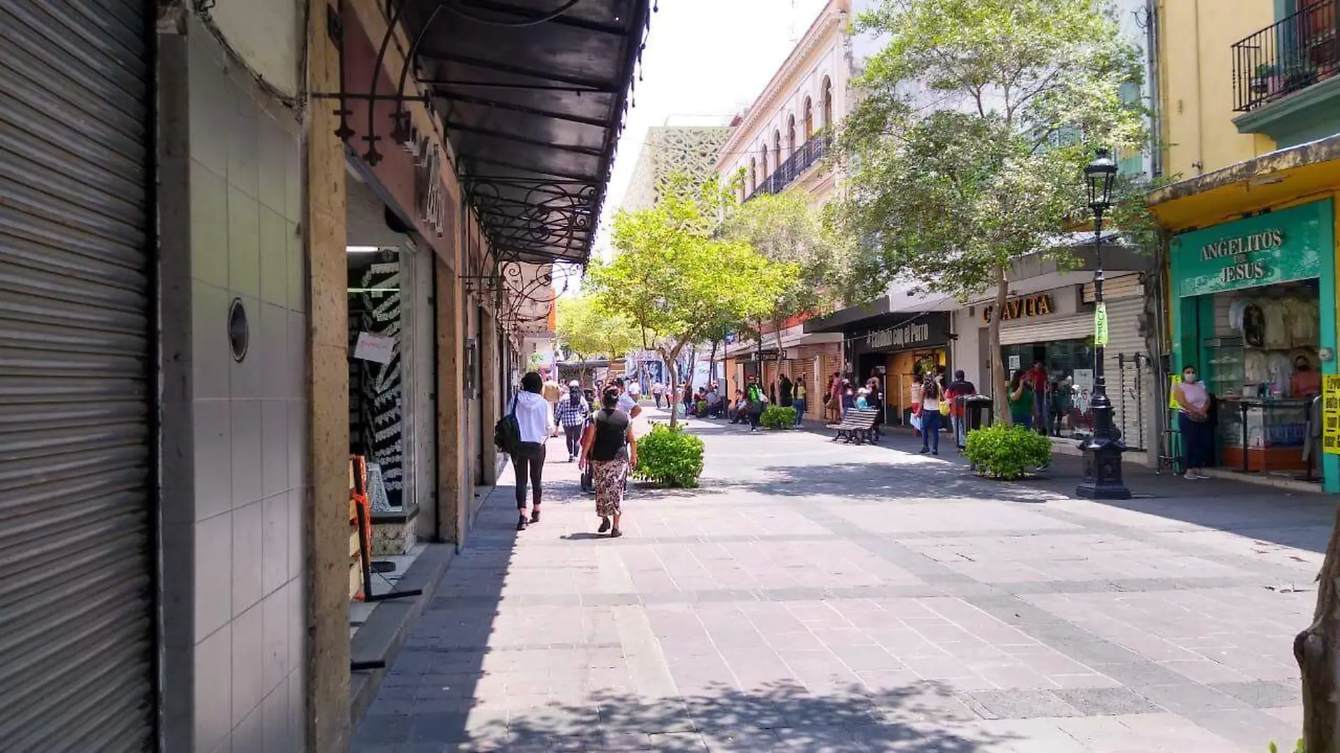 Negocios del Centro de Guadalajara